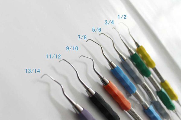 牙根尖挺16.8